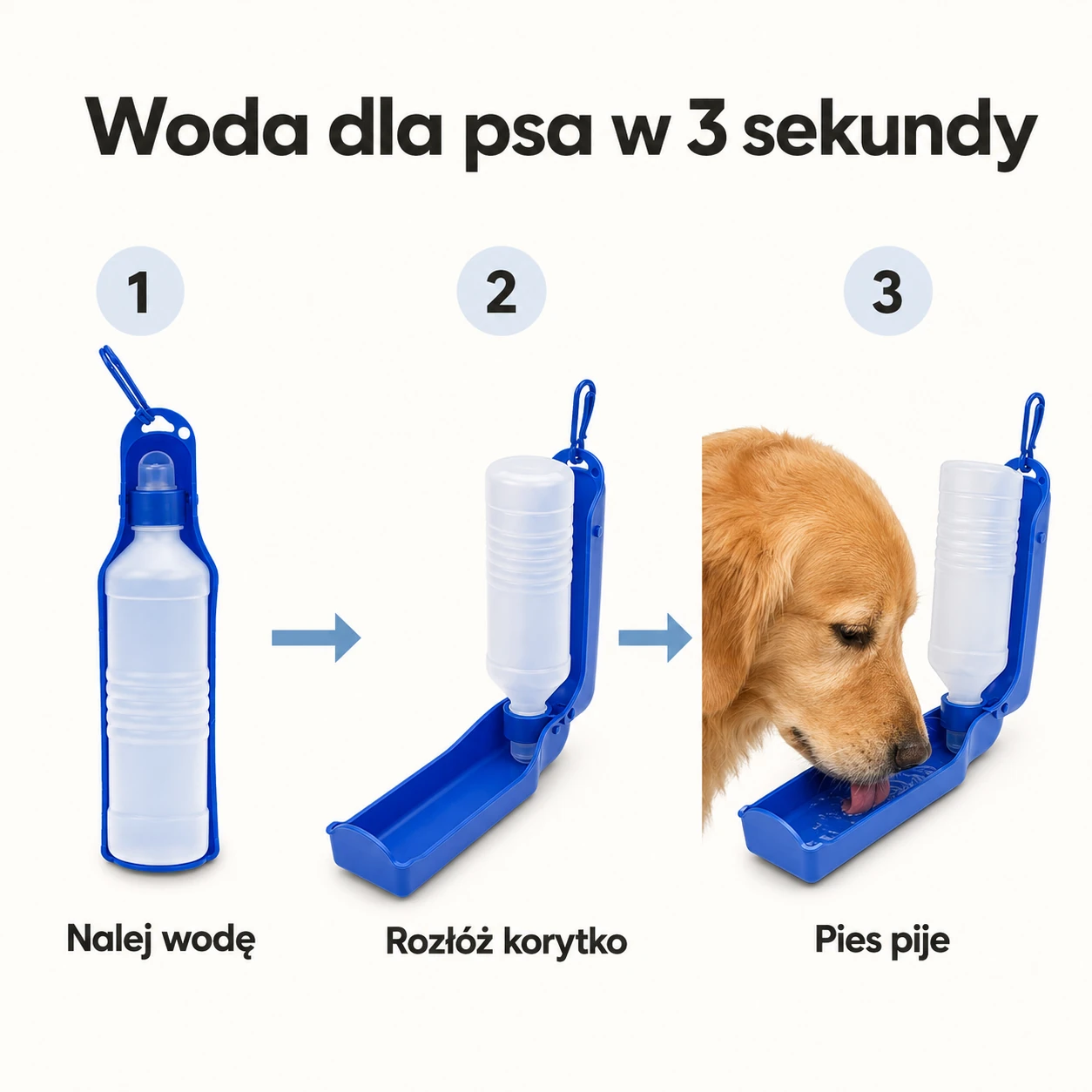 Jak działa bidon-poidło dla psa w trzech krokach