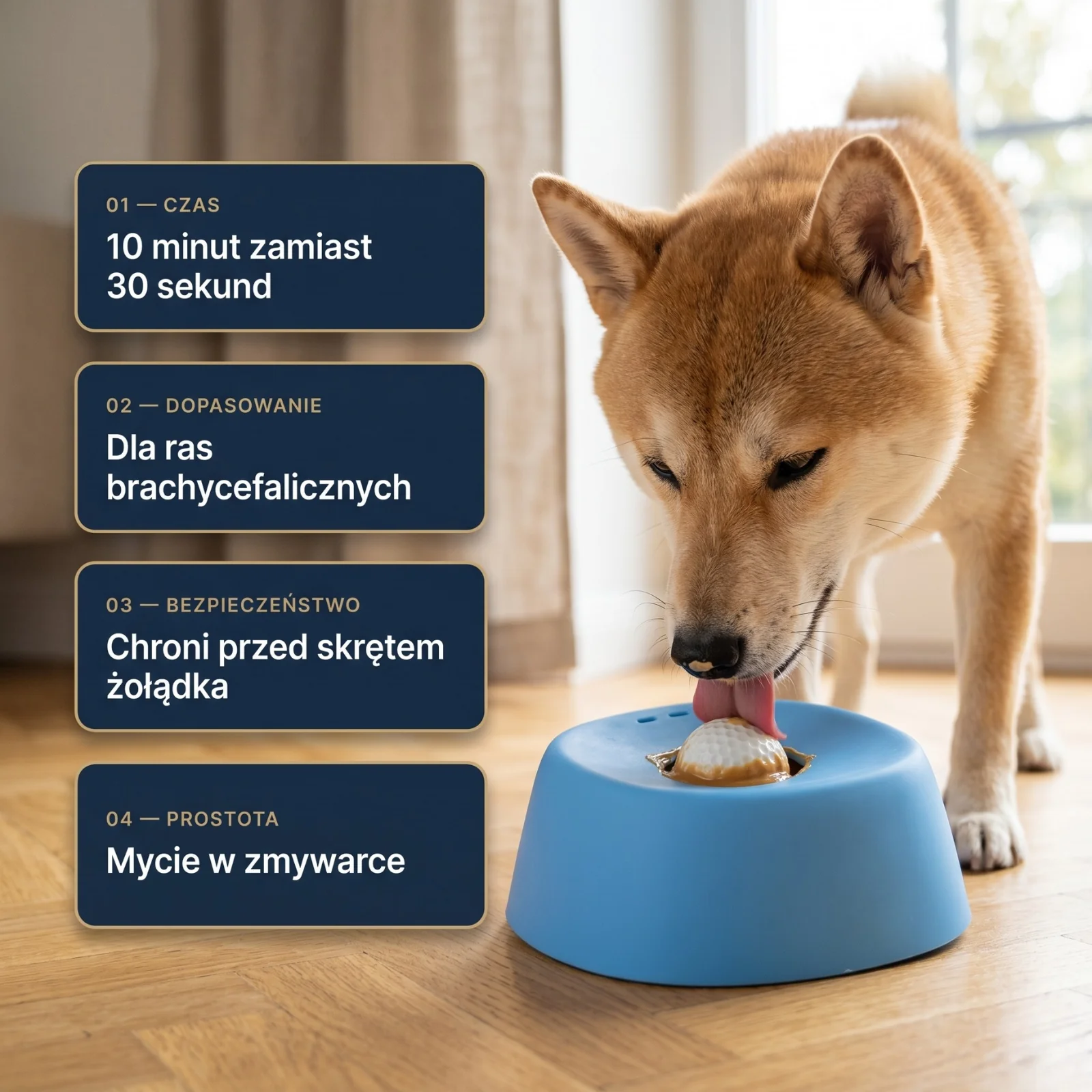 WolnaMiska — hybrydowa miska spowalniająca dla psów