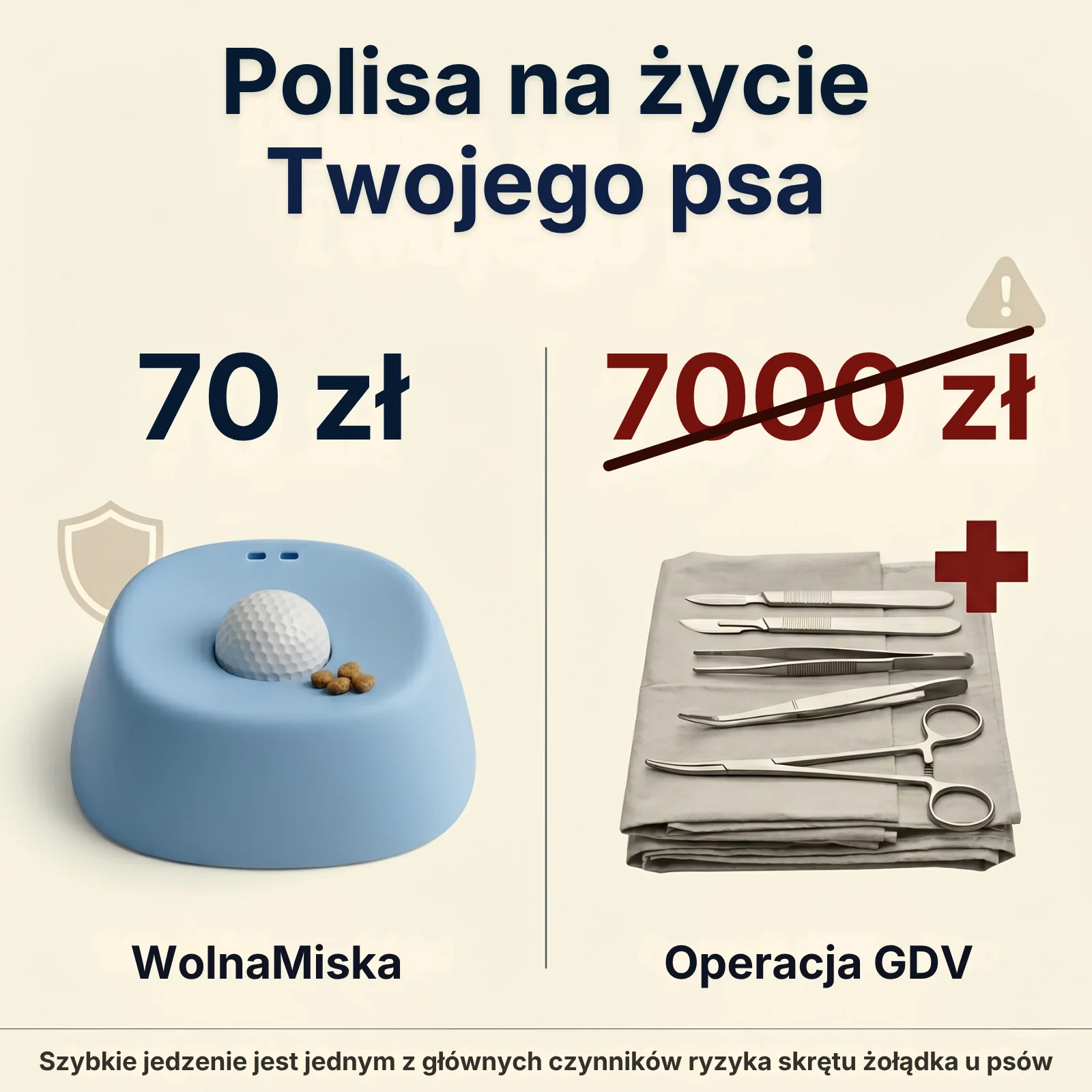 WolnaMiska polisa na życie — 70 zł vs 7000 zł